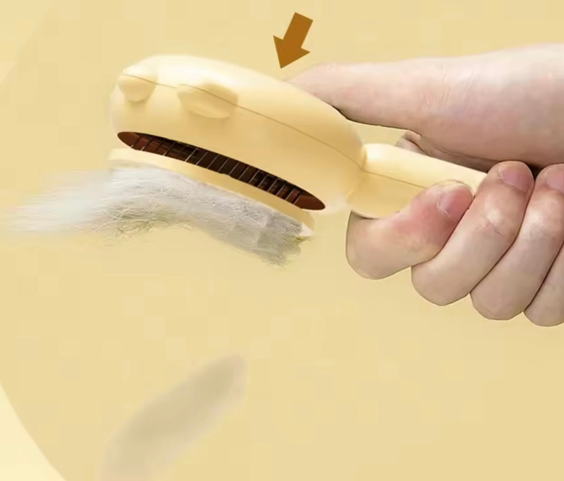 Brosse à aiguilles pour animaux à fourrure